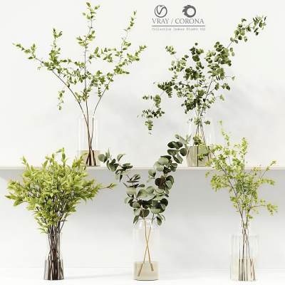 水生植物-3